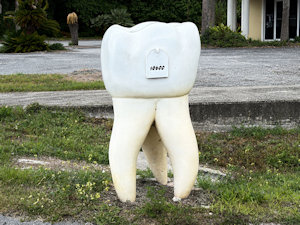 Roadside Image